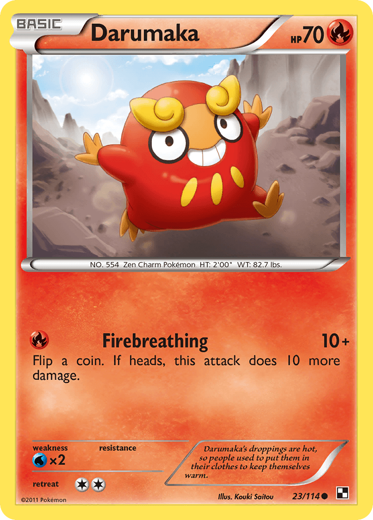Darumaka (23)